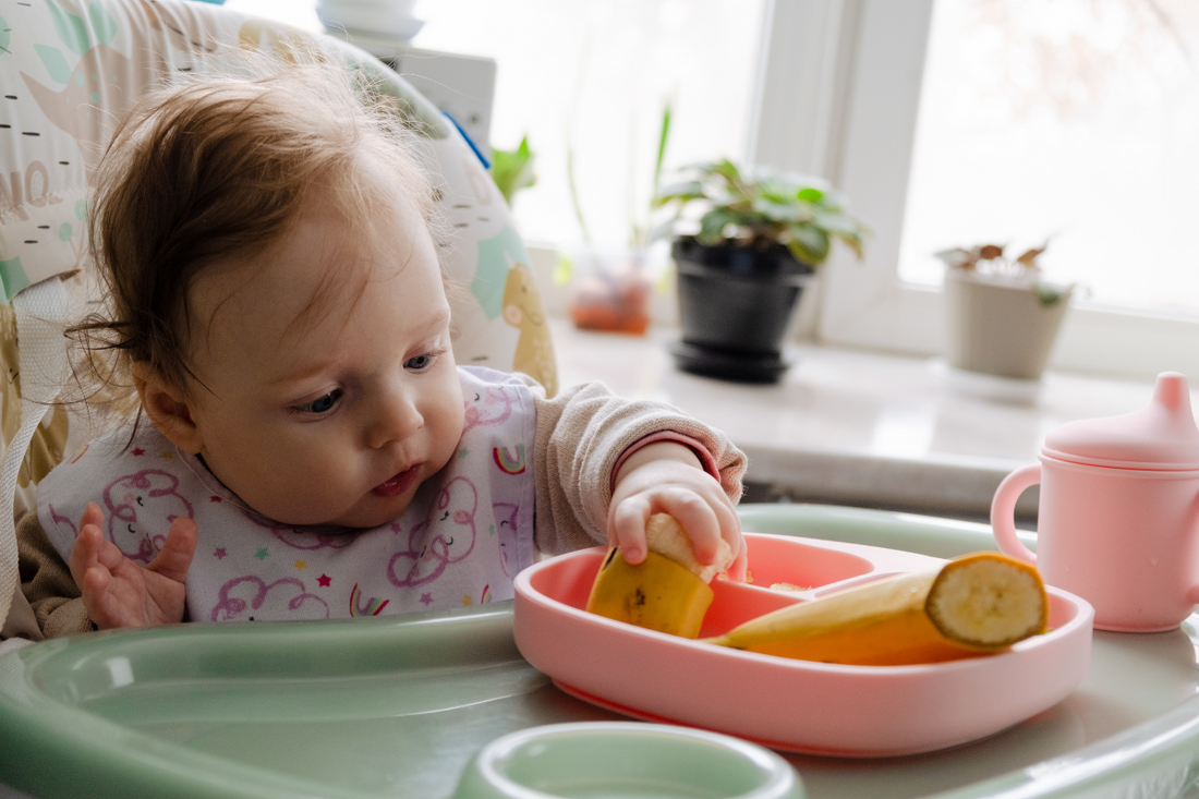 Baby Led Weaning (BLW)- The Essential Guide to Introducing Solids Safely